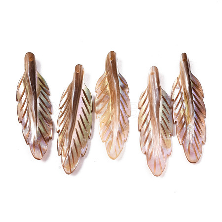 Natural Freshwater Shell Pendants SHEL-N026-139-1