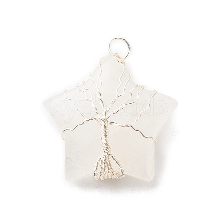 Natural Quartz Crystal Pendants PALLOY-JF01635-02-1