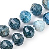 Natural Apatite Beads Strands G-G182-B42-06-1