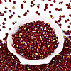 FGB Opaque Colours Glass Seed Beads SEED-Q040-07A-A04-2