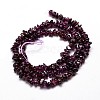 Natural Garnet Chip Beads Strands X-G-E271-98-2