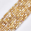 Yellow Shell Beads Strands X-SHEL-S274-93C-1