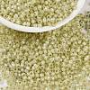 MIYUKI Round Rocailles Beads SEED-JP0009-RR0554-1