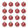 Platinum Plated Alloy Enamel Charms X-ENAM-S118-03F-P-2