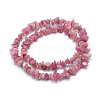 Natural Tourmaline Beads Strands G-P332-70-2