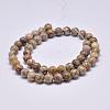 Natural Maifanite/Maifan Stone Beads Strands X-G-F353-10mm-2