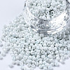 8/0 Glass Seed Beads SEED-S061-A-979-1
