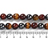 Natural Tiger Iron & Synthetic Hematite Beads Strands G-H1581-10mm-4