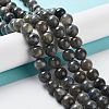 Natural Labradorite Beads Strands G-S333-8mm-035-4