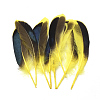 Feather Costume Accessories FIND-Q046-15D-1