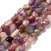 Natural Tourmaline Beads Strands G-L608-A08-02-1