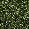 Baking Paint Silver Lined Glass Seed Beads SEED-H003-09D-2