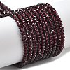 Natural Garnet Beads Strands G-P556-A01-02-1