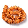 Natural Freshwater Shell Beads Strands SHEL-C001-10-4