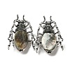 Dual-use Items Alloy Insects Brooch JEWB-C026-05L-AS-1