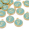 Golden Plated Alloy Enamel Charms ENAM-S118-05F-4