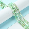 Natural Chrysoprase Beads Strands G-F748-X01-03B-2