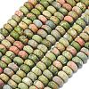 Natural Unakite Beads Strands G-P575-A12-8x5mm-01-2