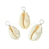 Natural Cowrie Shell Pendants PALLOY-JF02796-02-1