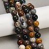 Natural Ocean Agate/Ocean Jasper Beads Strands G-G772-06-B-01-2