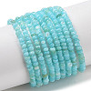 Natural Freshwater Shell Beads Strands SHEL-P017-01A-03-1