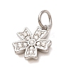304 Stainless Steel Micro Pave Clear Cubic Zirconia Charms LS-CU-CBAB6EC-24P-2