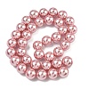 Electroplated Shell Pearl Beads Strands BSHE-G041-10mm-05-4