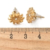 304 Stainless Steel Rhinestone Stud Earrings for Women STAS-Z117-13G-5