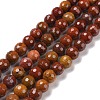 Natural Carnelian Beads Strands G-E571-10B-1