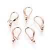 Brass Earring Hooks KK-E779-01RG-2