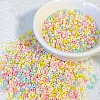 Opaque Colours Glass Seed Beads PW-WG6EF65-21-1