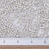 MIYUKI Delica Beads SEED-JP0008-DB0551-4