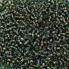 TOHO Round Seed Beads SEED-JPTR08-1014-2