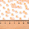 Glass Seed Beads SEED-T008-01C-5