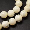 Natural Sea Shell Beads Strands SSHEL-K013-12mm-A-3