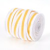 Polyester Ribbon SRIB-F008-A10-19mm-2