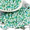 Baking Painted Glass Seed Beads SEED-C004-03D-1