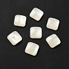 Resin Cabochons CRES-D003-01-2