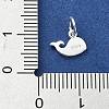 925 Sterling Silver Charms STER-M119-09A-S-3