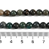 Natural Chrysocolla Beads Strands G-H062-A05-01-5