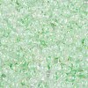 Baking Paint Transparent Glass Beads DGLA-T004-08G-2