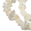 Natural White Moonstone Beads Strands G-P332-01-6