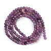 Natural Ruby Beads Strands G-H081-B01-01-3