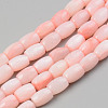 Natural Freshwater Shell Beads Strand SHEL-T017-39B-1