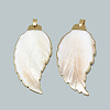 Electroplate Freshwater Shell Big Pendants SHEL-S273-009-1