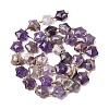 Natural Amethyst Beads Strands G-Z080-A34-10mm-3