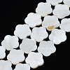 Natural Freshwater Shell Beads Strands SHEL-N026-188-1