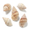 Natural Spiral Shell Beads BSHE-H015-15-1