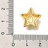 Rack Plating 
Brass Micro Pave Cubic Zirconia Pendants KK-I722-05G-C-3