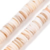 Natural Freshwater Shell Beads Strands X-SSHEL-T017-02-1